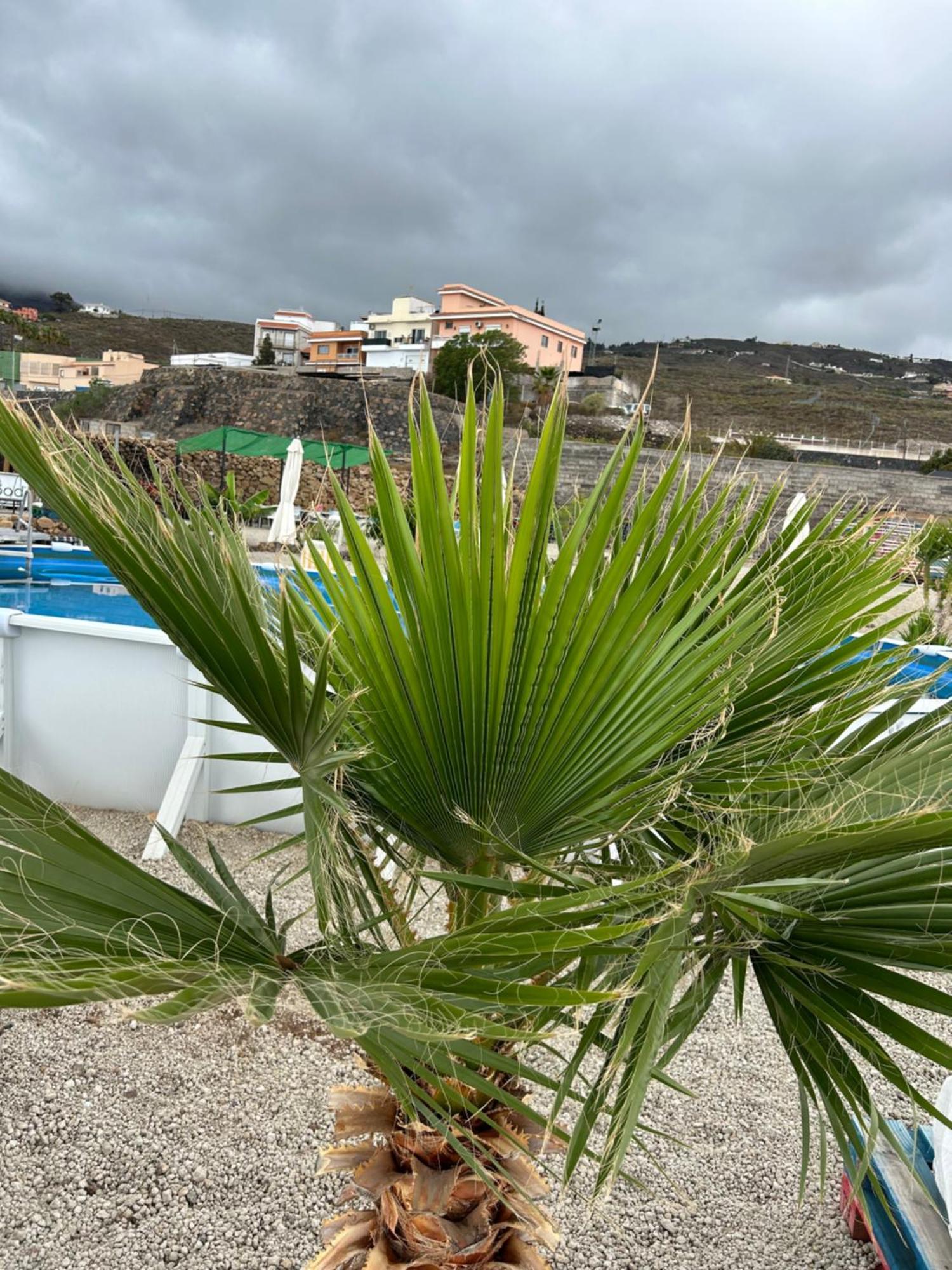 Apartmán Casa Mirador Arona  Exteriér fotografie