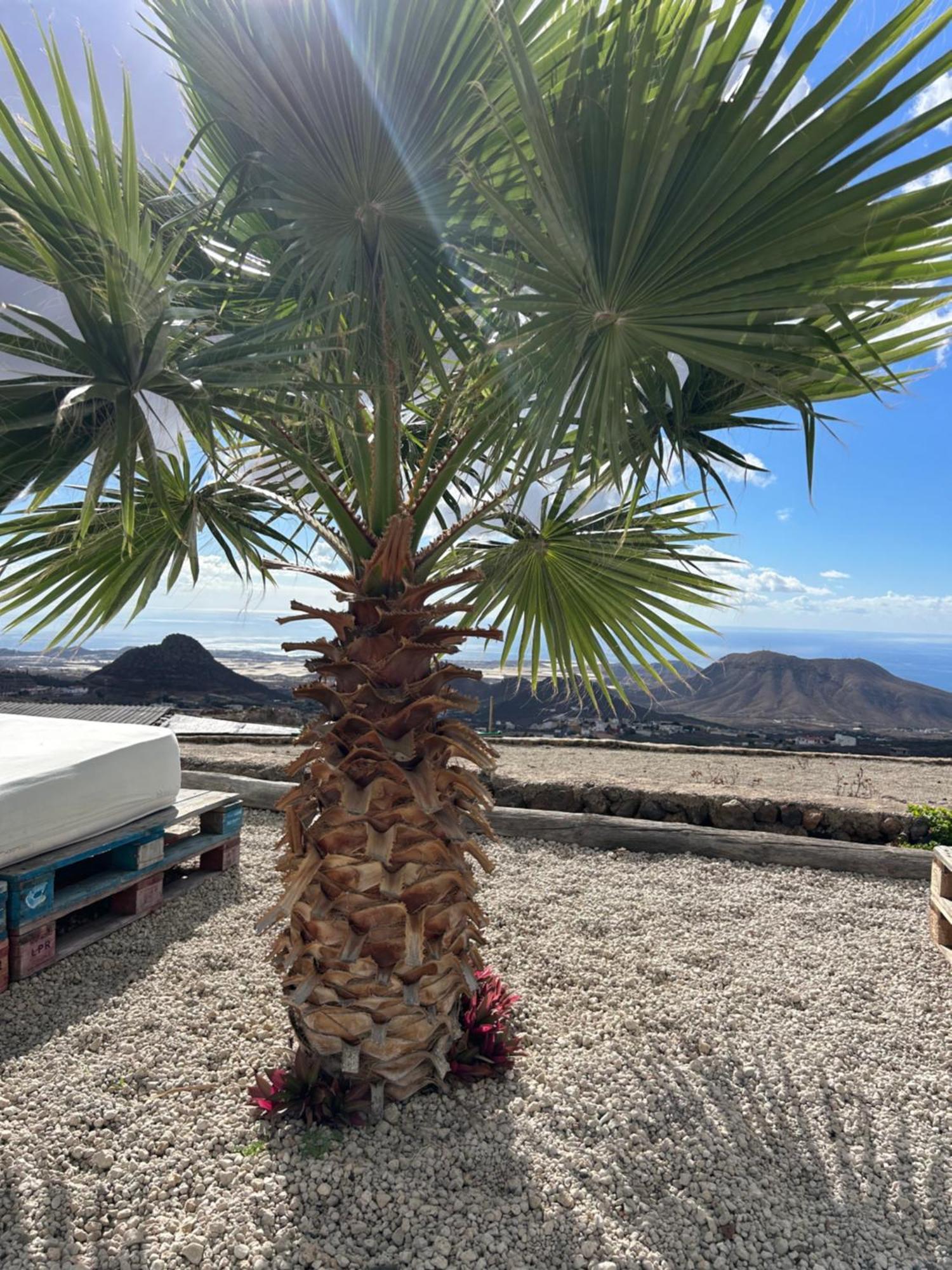 Apartmán Casa Mirador Arona  Exteriér fotografie